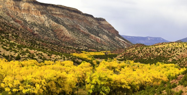 Jemez Canyon