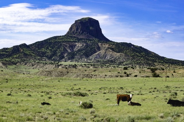 Sacred Cow at Cabezon-2