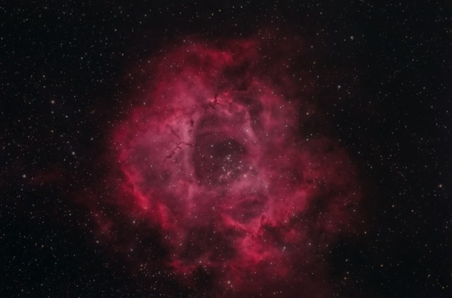 Rosette Nebula