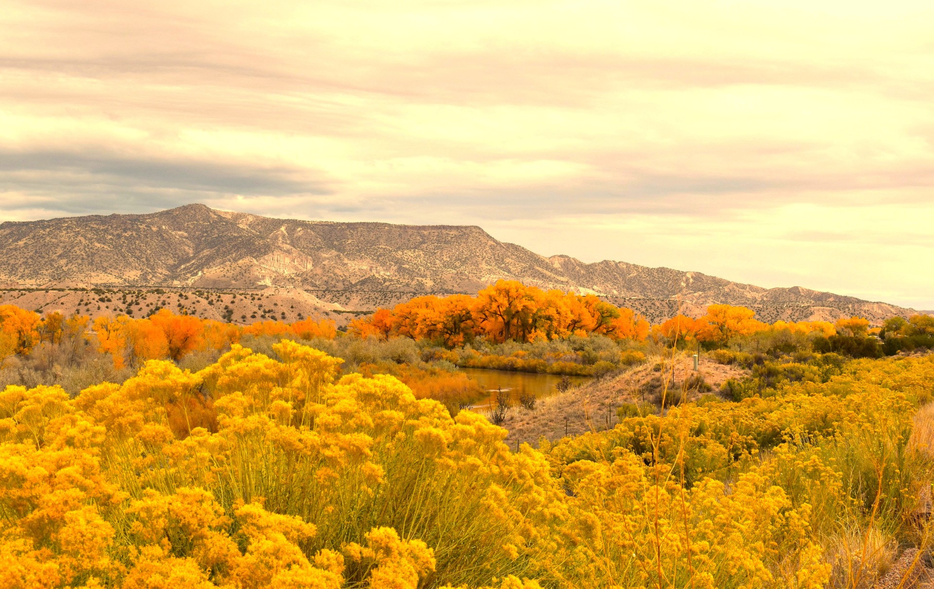 Chama at Abiquiq